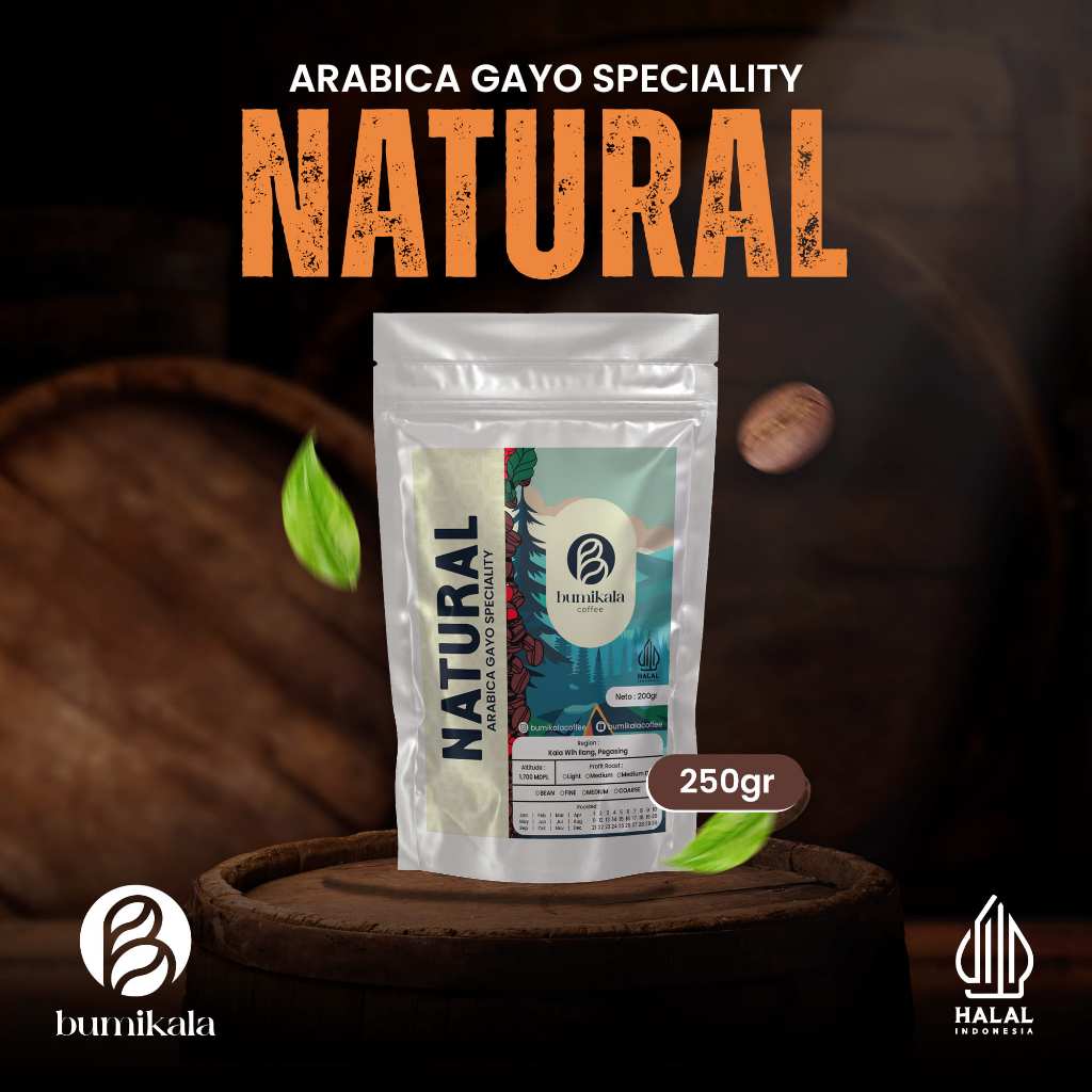 

KOPI ARABIKA GAYO Speciality NATURAL PROSES | 200 gram