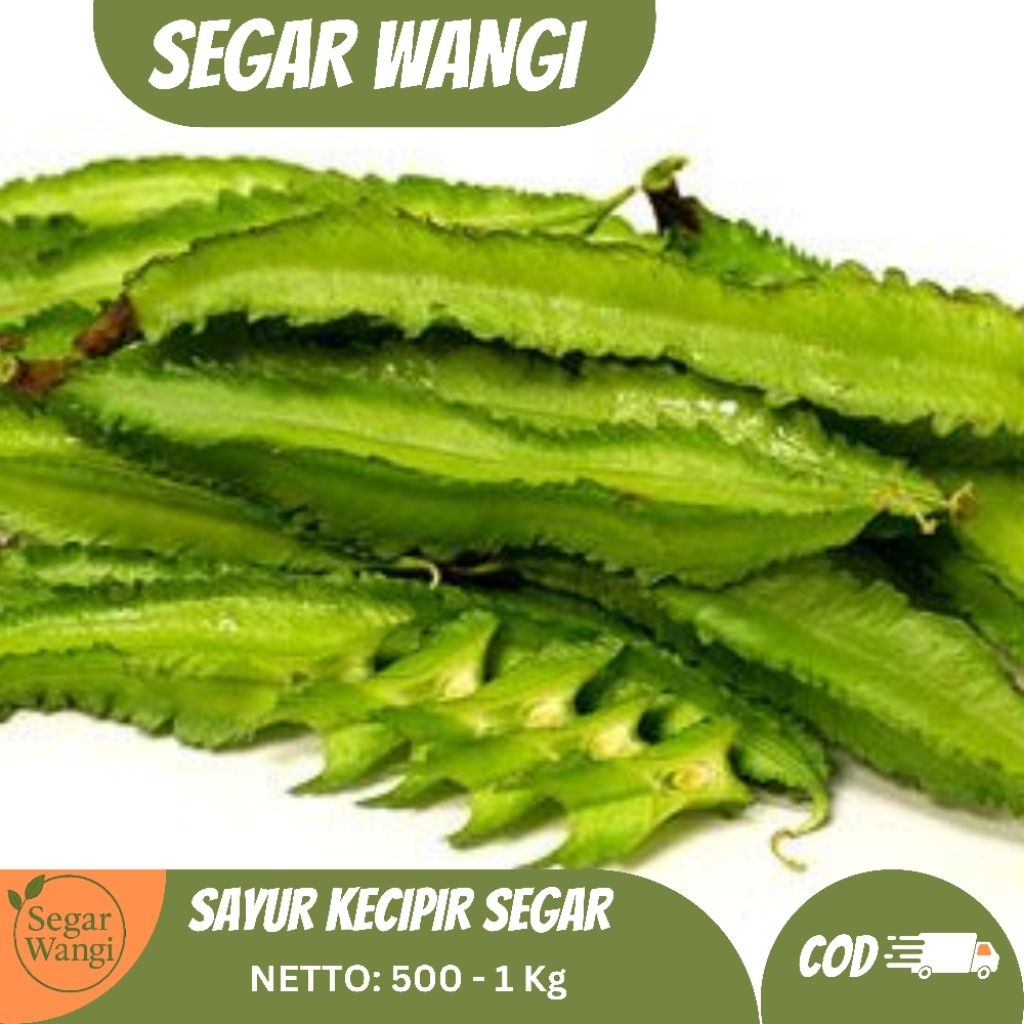 

Sayur Kecipir Segar/Jaat Segar 500-1 Kg - Kecipir Kiloan - Siap Kirim!