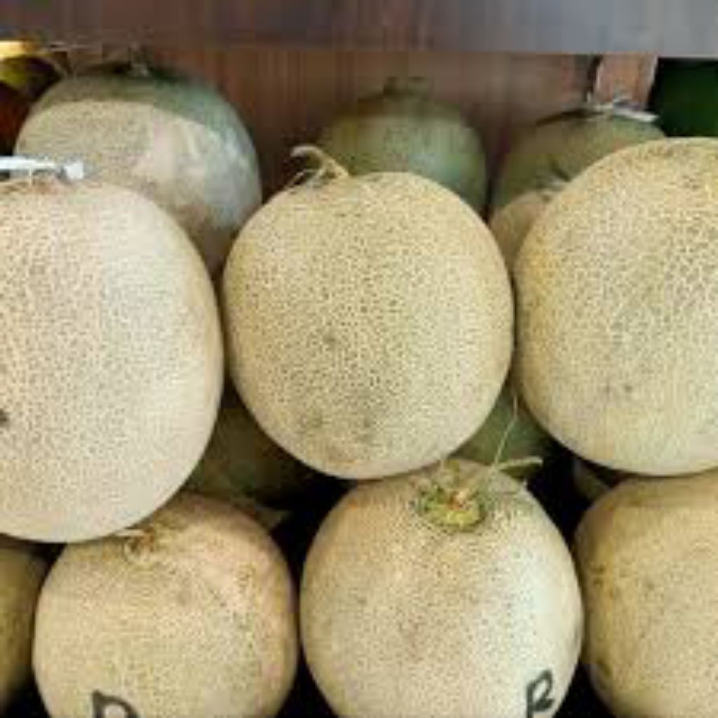 

melon lokal manis by kingfruit