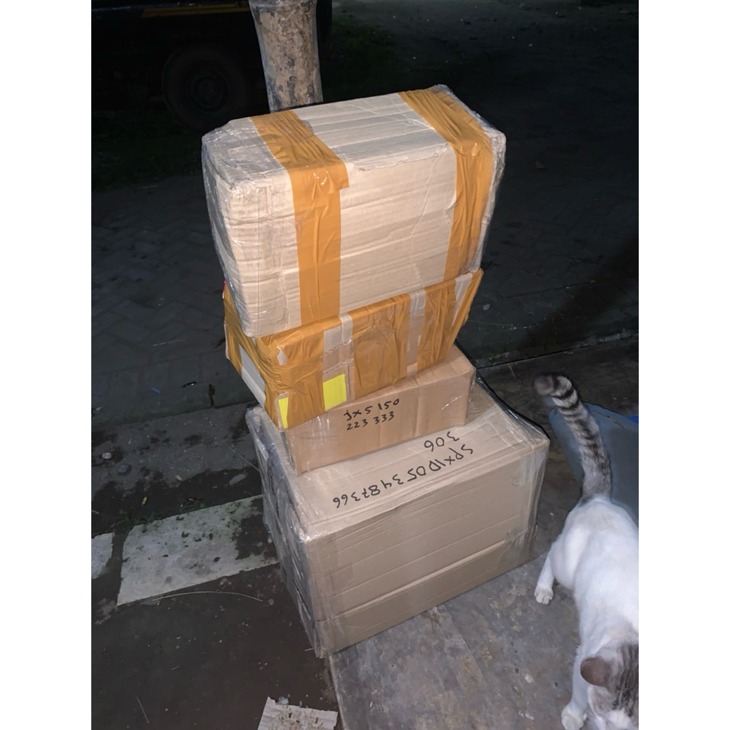 

Promo 50 orang tercepat Mistery box besar