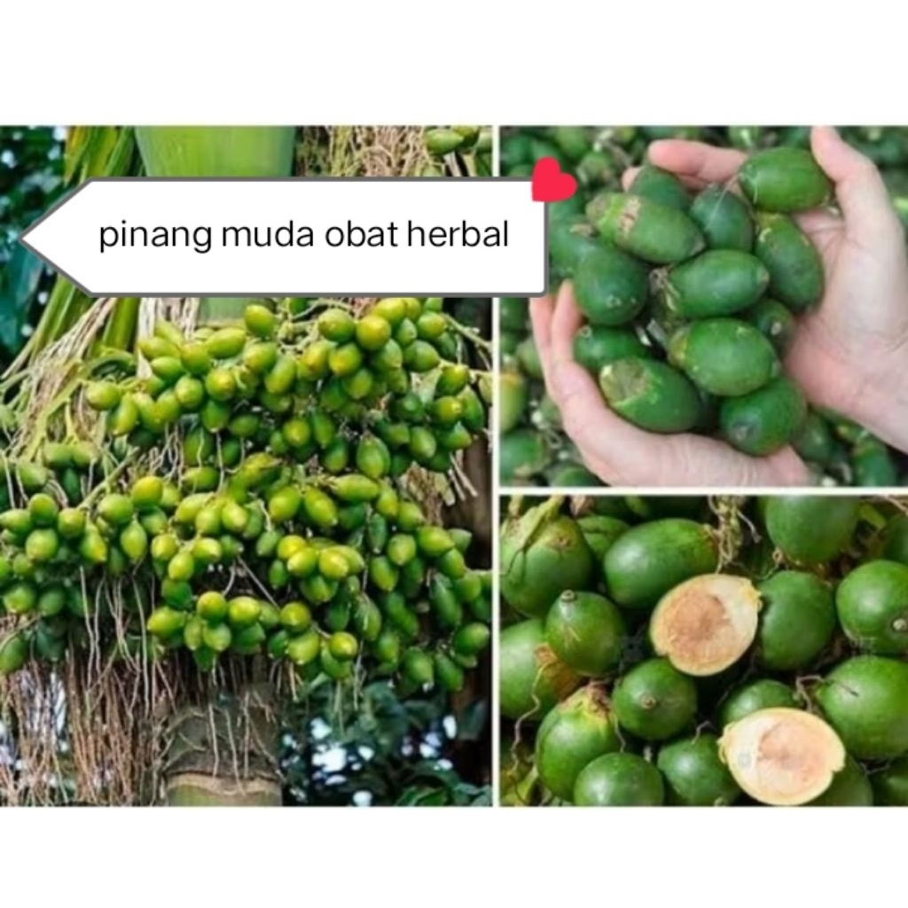 

pinang muda/500 gram