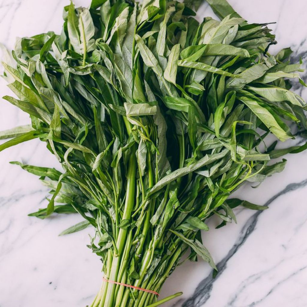 

[PS] 3 Ikat Kangkung Segar