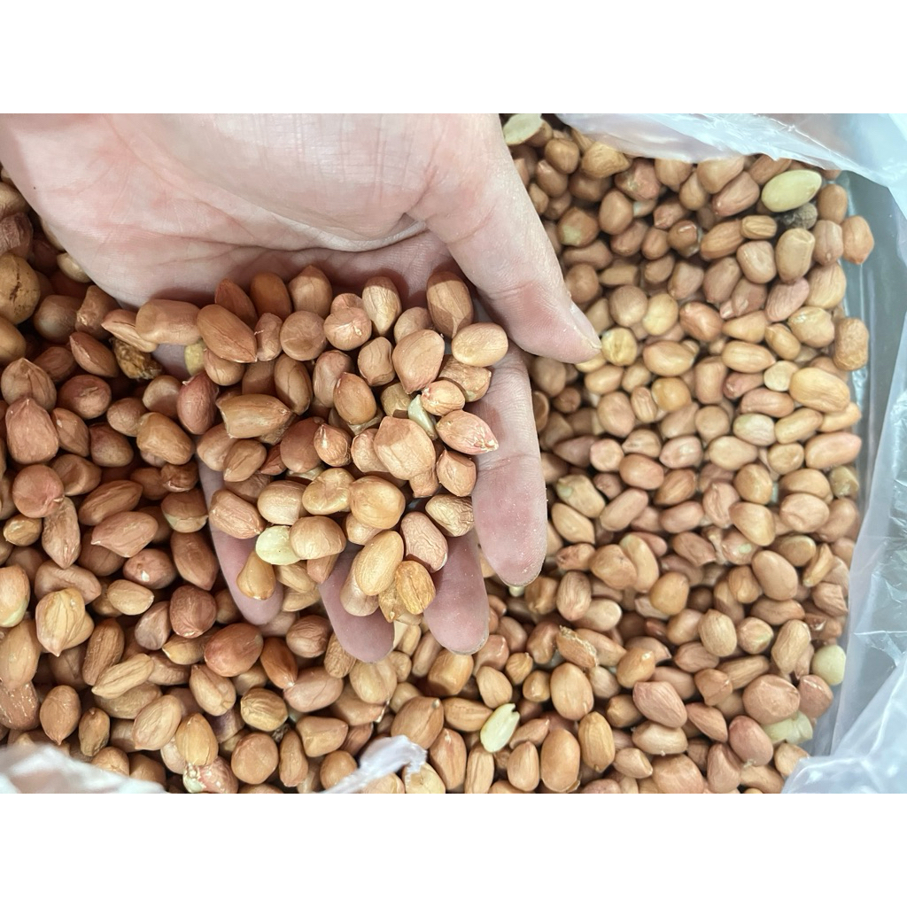 

kacang tanah kupas