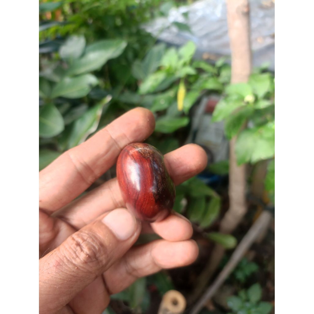 Mata cincin full galih super nagasari petir dim jumbo 40x25x25mm