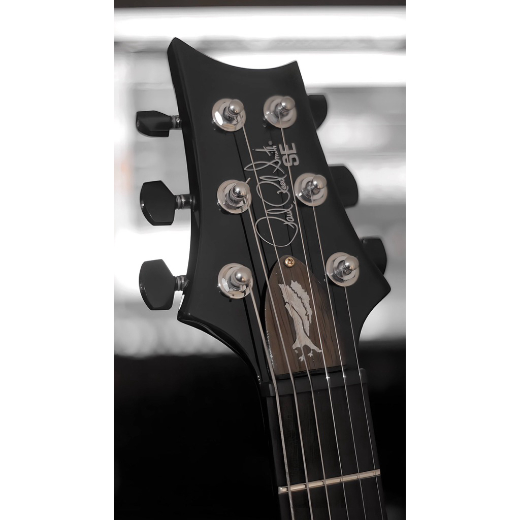 PRS SE Mark Tremonti Gray Black