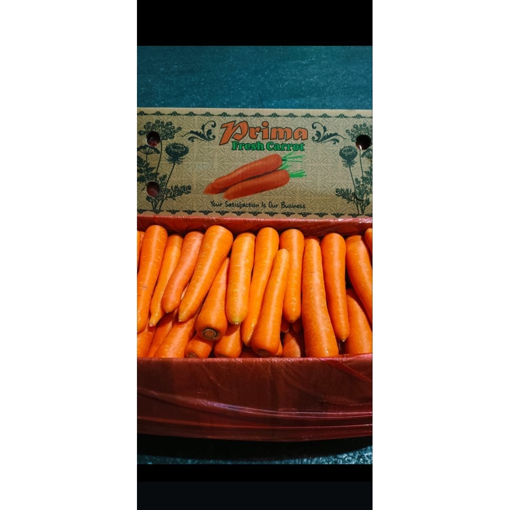 

[instan dan somday only] Wortel import segar grosir 5kg 10kg