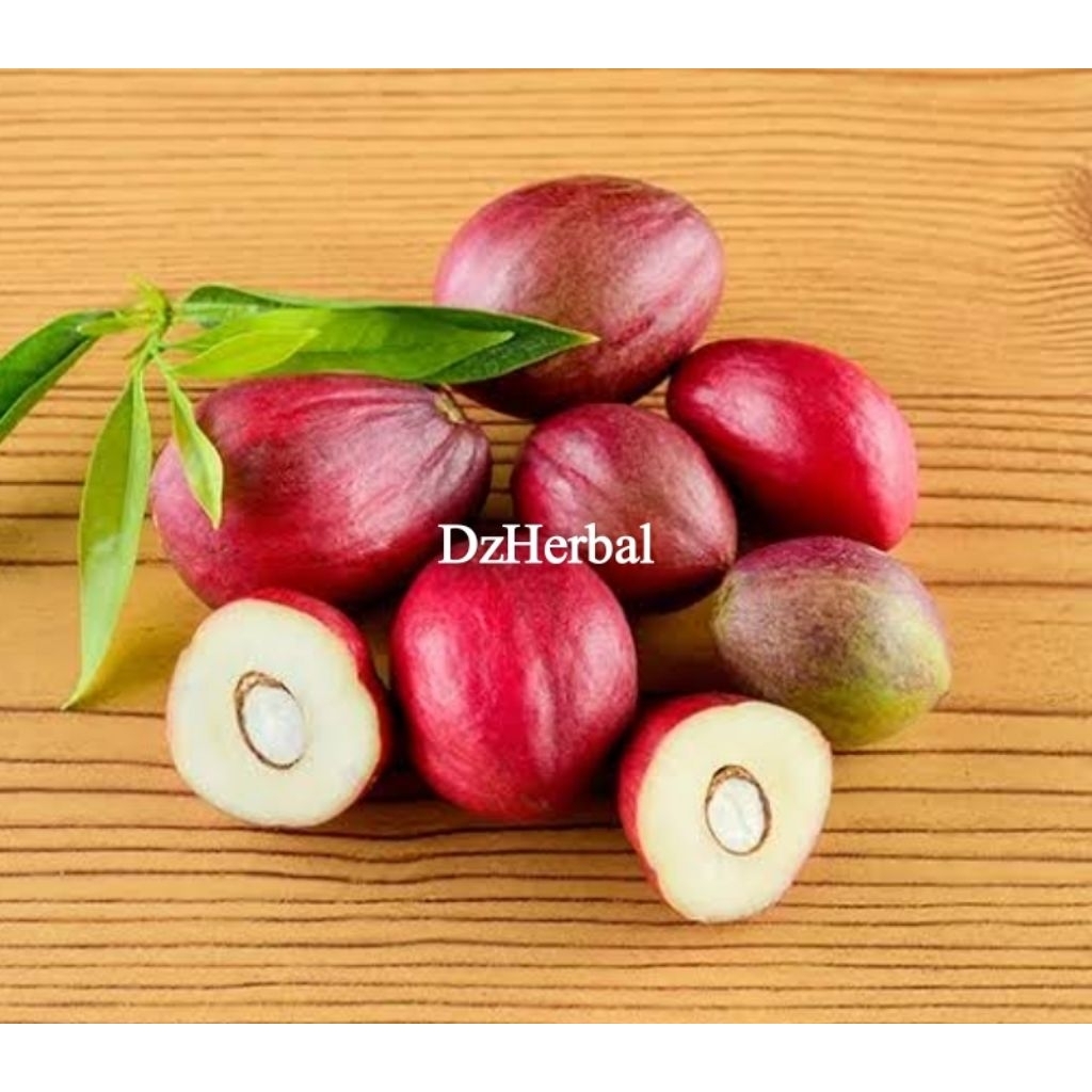 

Buah Mahkotadewa segar organik 1 kg petik langsung-az