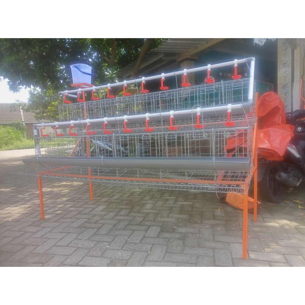 Kandang Batre Galvanis Ayam Petelur Fullset Komplit Kapasitas 20 Ekor Pintu 10 (Per pintu 1 ekor)