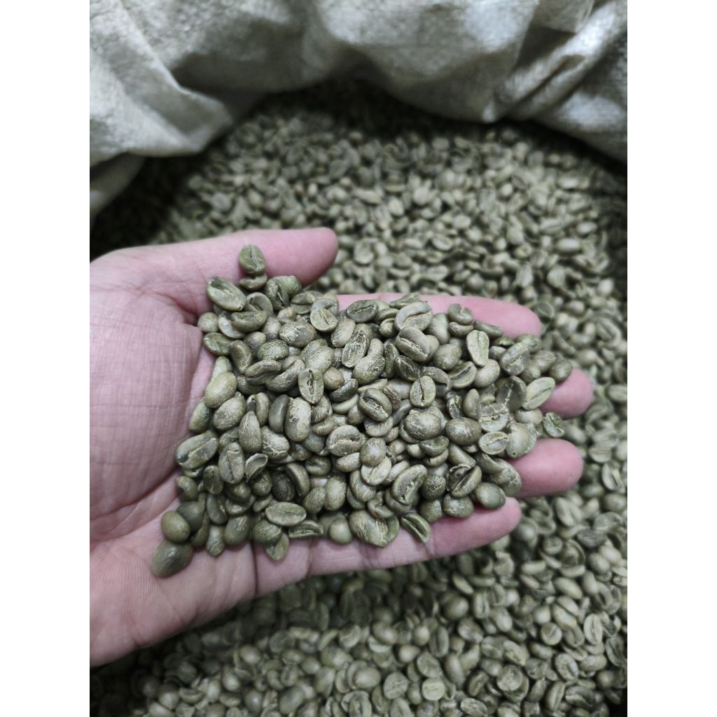 

Kopi Green Bean Arabica Gayo Petik Merah 1Kg Sortir