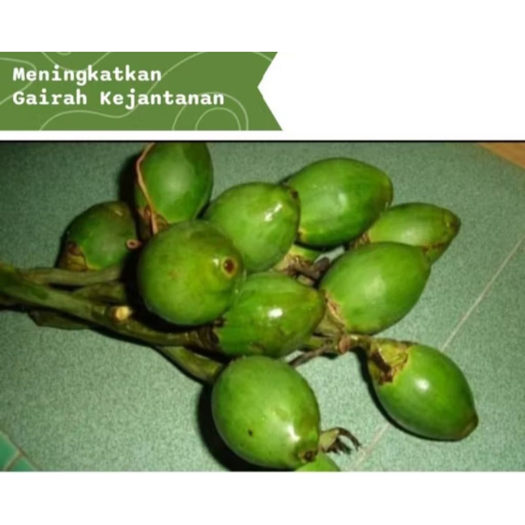 

promo buah Pinang muda 1kg