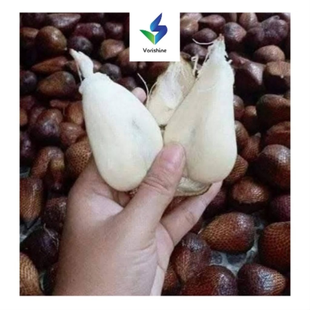 

Salak Pondoh 1kg - Manis, Segar, Panen Baru