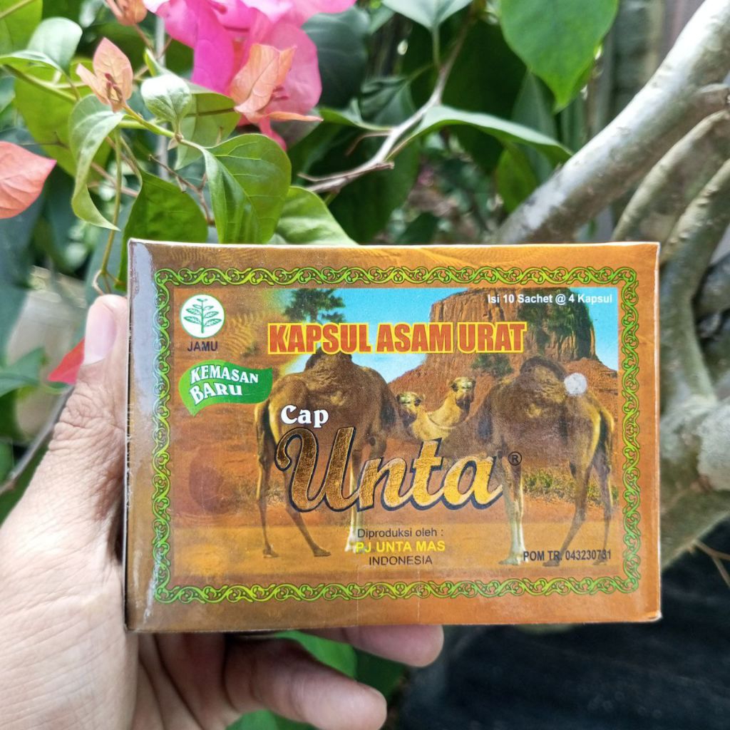

Kapsul Herbal Cap Unta – Bantu Jaga Kebugaran Tubuh & Kesehatan Sendi | Isi 10 Sachet