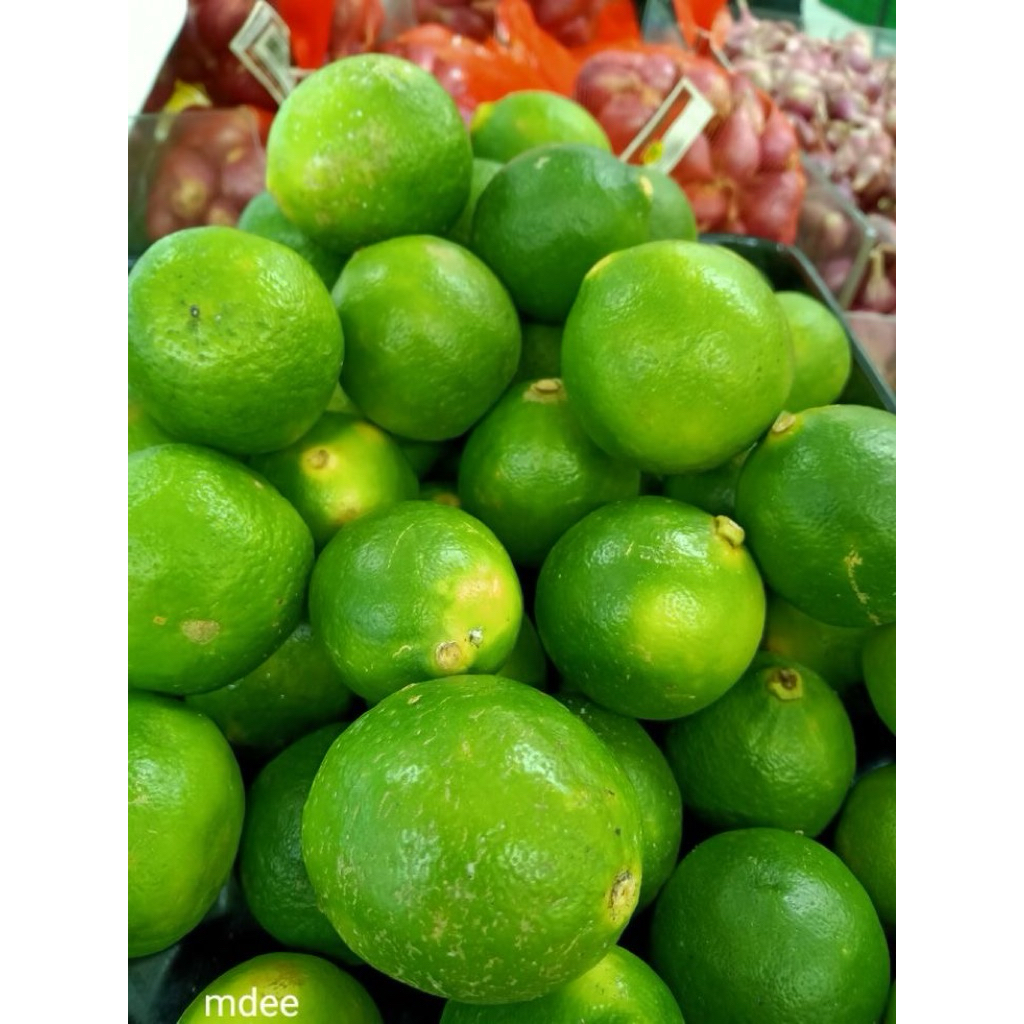 

Jeruk nipis segar 1 kilo petik kebun fresh