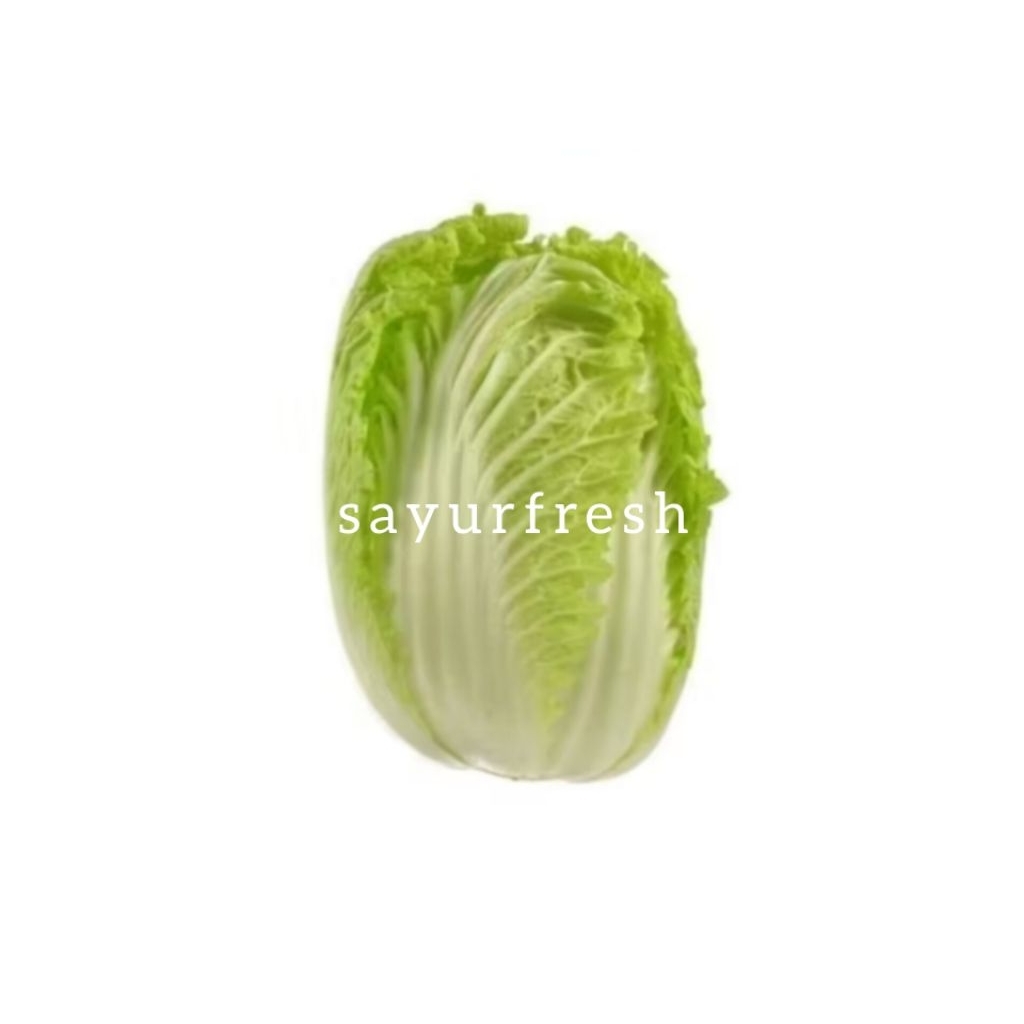 

SAWI PUTIH KECIL 1 PCS