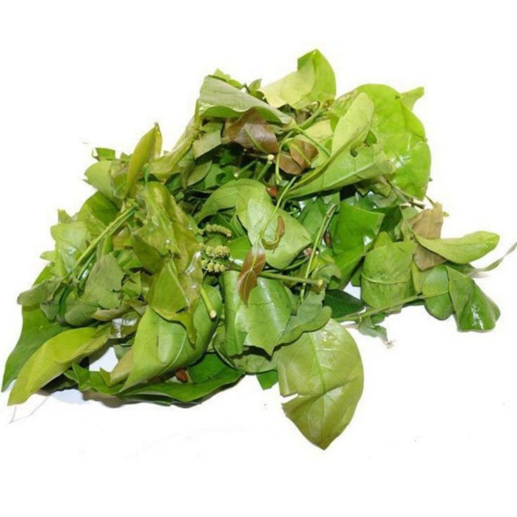 

[PS] Daun Melinjo