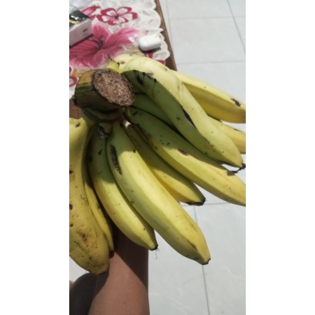 

pisang ambon jumbo 1 kg