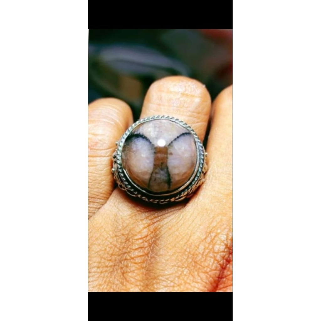 Natural tapak jalak kendit