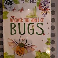 Discover The World of Bugs - Lift the Flap