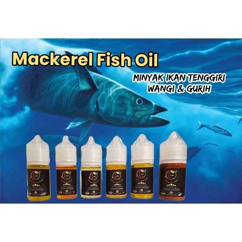 TERLARIS ] Minyak Murni Ikan Salmon, Kepiting Rajungan, Tenggiri, Udang, Tuna dan Hati Hiu