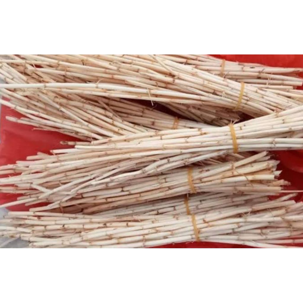 

jual akar alang alang/erih 500gram segar