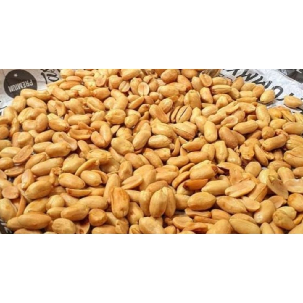 

Kacang bawang super/Kacang bawang ashoka