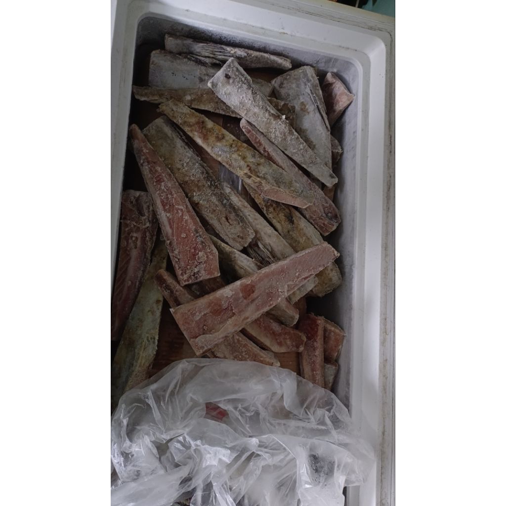 

daging ikan tuna toro