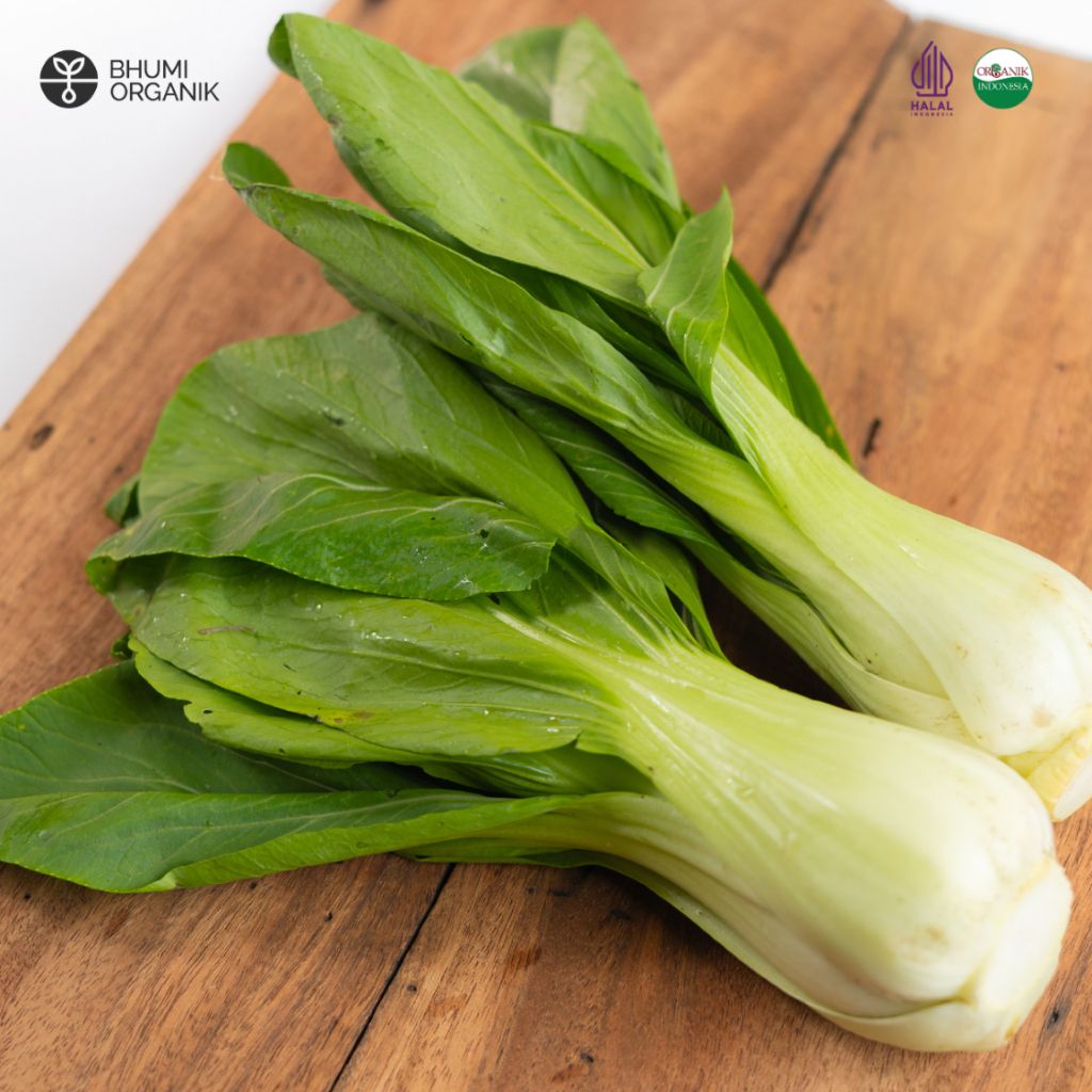 

Pakchoy Pakcoy Organik 250 gram - Ceritanik / Bhumi Organik - Sawi Sendok Organik - Sayur Organik Murah - Sayur Organik Sehat - Sayur Organik Premium