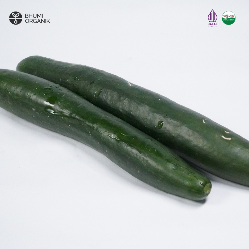 

Kyuri Timun Jepang Organik 500 gram - Ceritanik / Bhumi Organik - Kyuri Organic - Sayur Organik Murah - Sayur Organik Sehat - Sayur Organik Premium