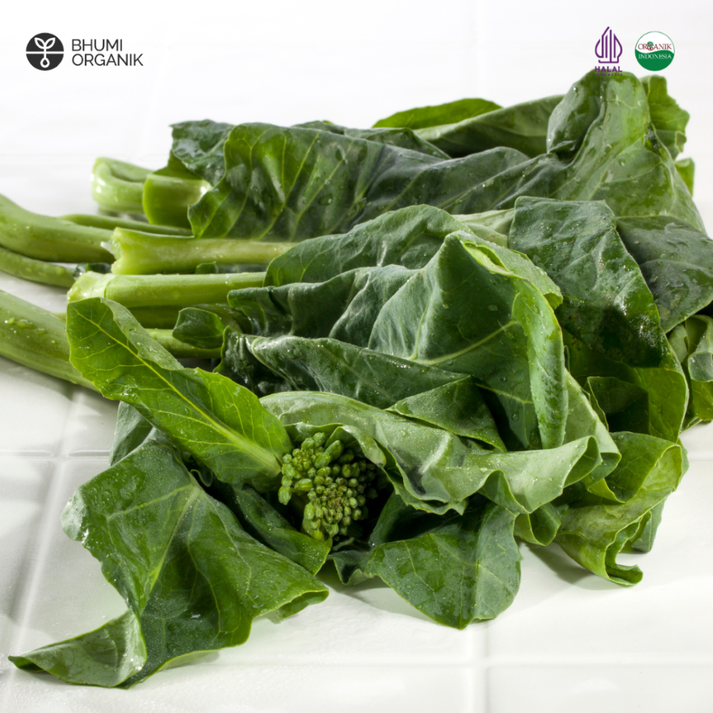 

Kailan Organik 250 gram - Ceritanik / Bhumi Organik - Chinese Broccoli Organic - Sayur Organik Murah - Sayur Organik Sehat - Sayur Organik Premium