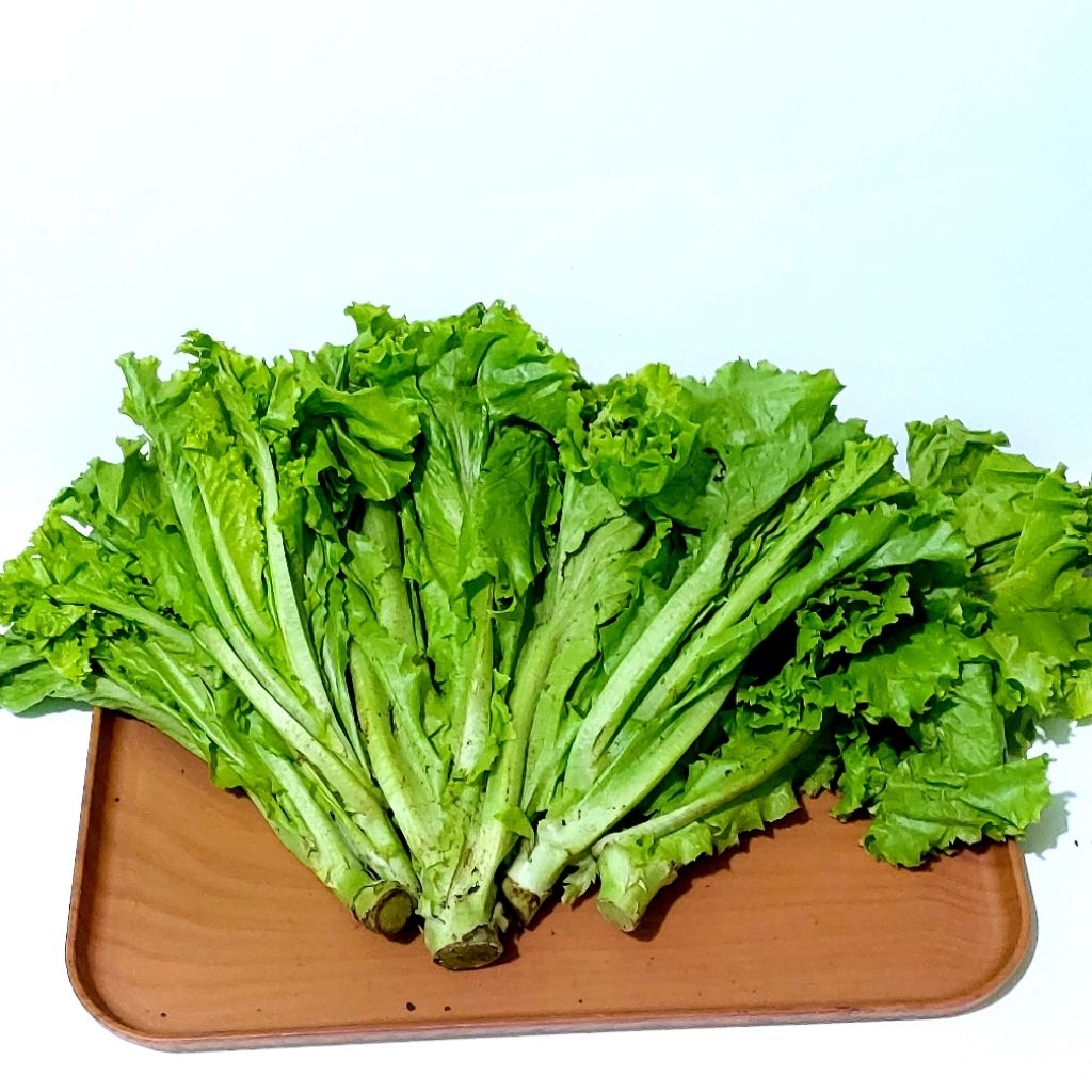 

SELADA 250 GRAM