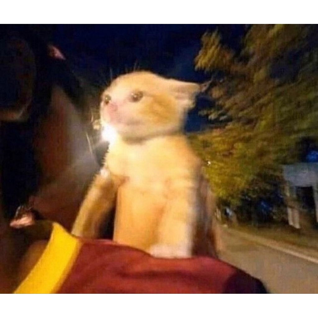 pvc bag and book orv thai