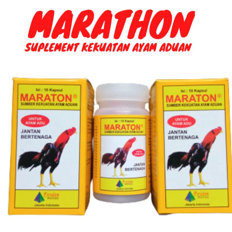 JAMU AYAM BANGKOK AYAM JAGO ADUAN