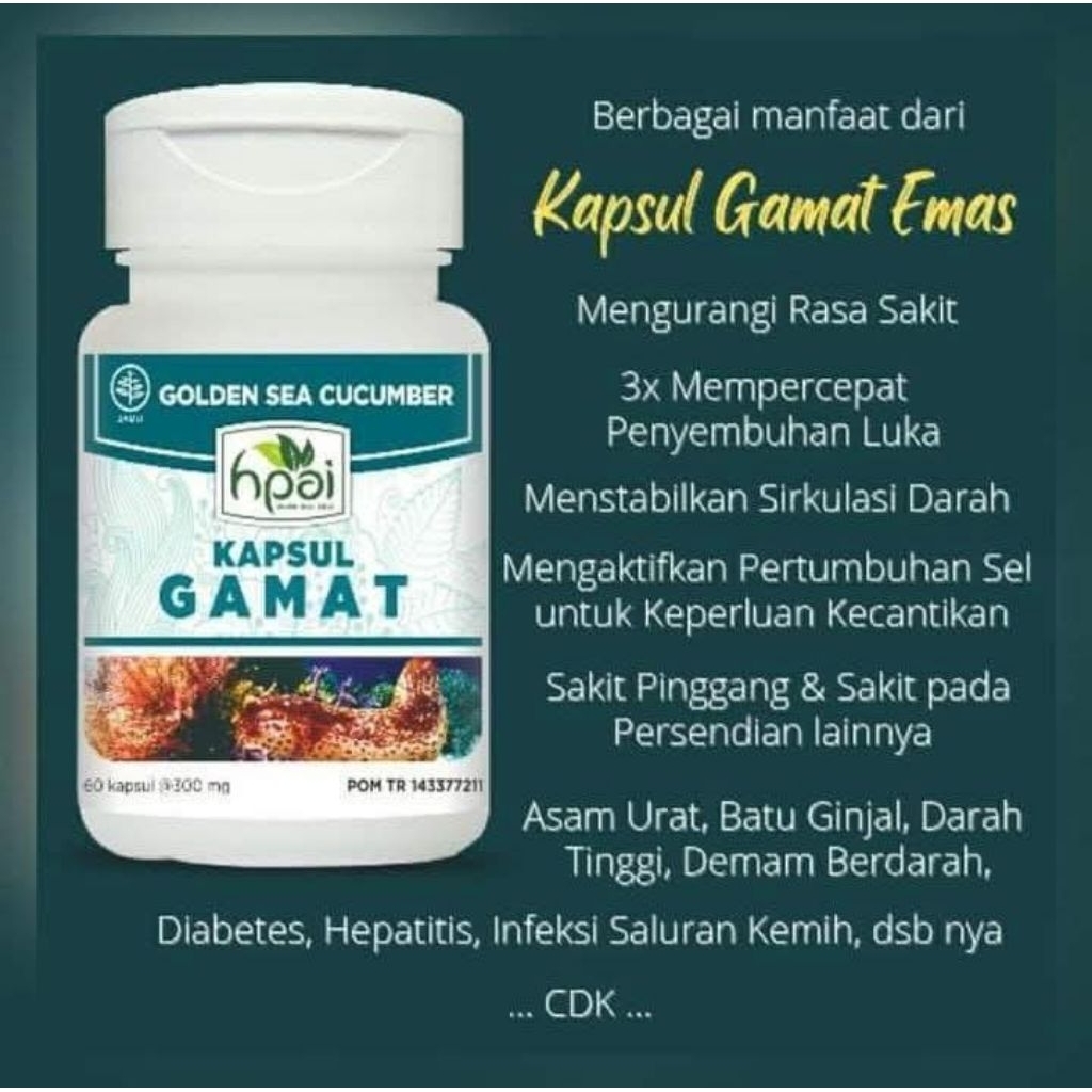KAPSUL GAMAT HPAI
