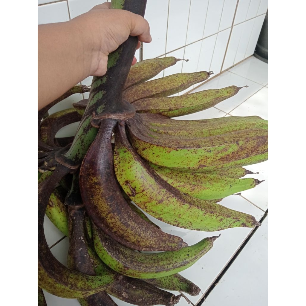 

pisang Tanduk 1 kilo Matang