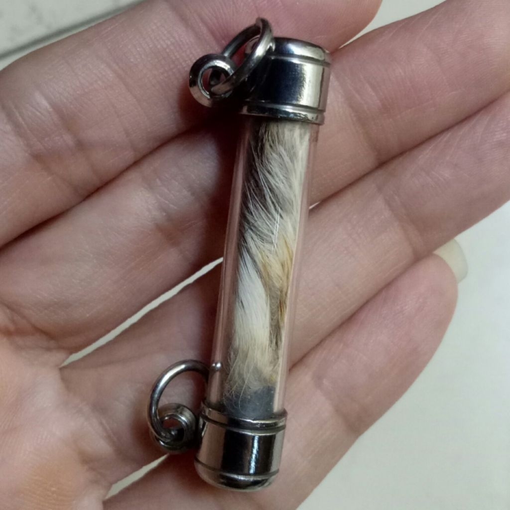 takrut tiger skin bless ajahn teelek