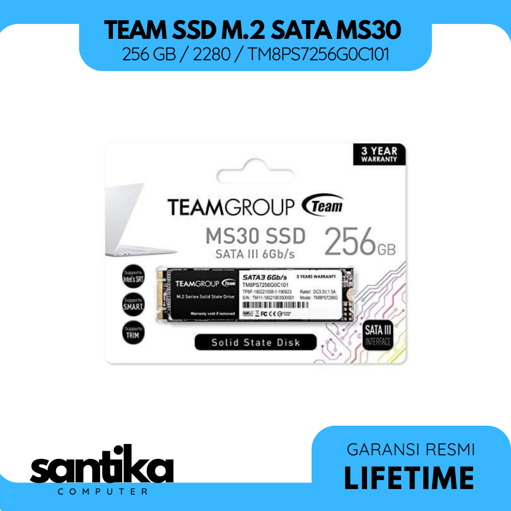 TEAM SSD MS30 M.2 / M2 SATA 256GB / 256 GB 2280 TM8PS7256G0C101