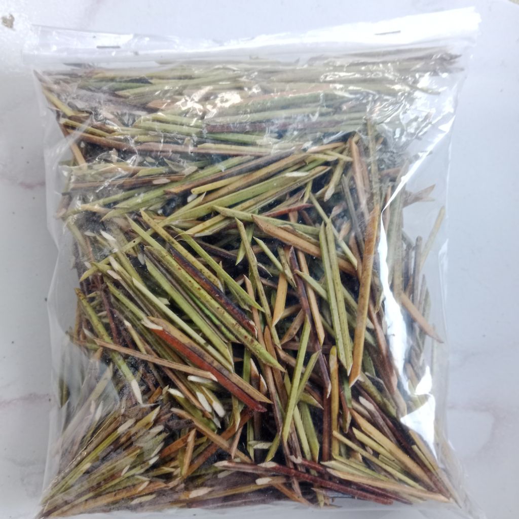 

(100 GRAM) Biting Tulang Daun Kelapa/Pengait Pembungkus Daun Pisang Dan Sejenisnya
