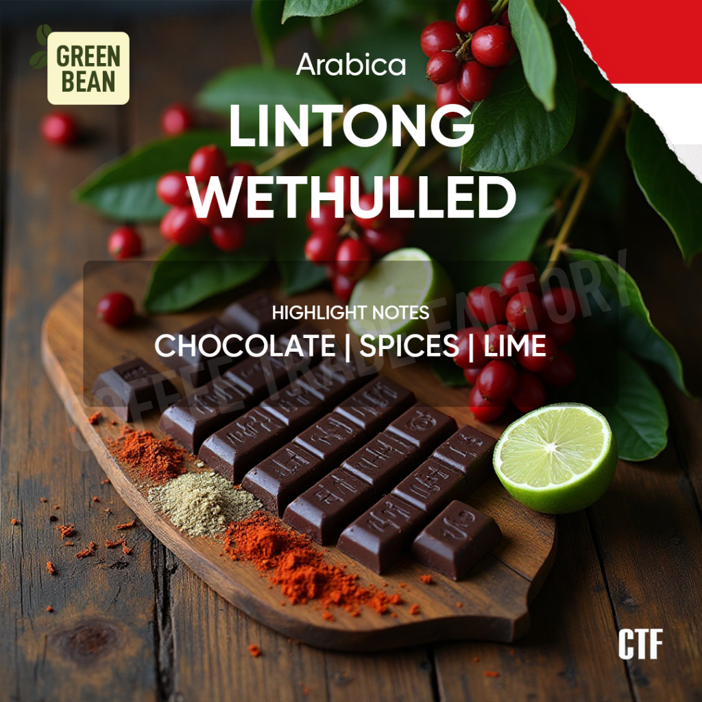 

Green Beans Arabika Lintong Wet Hulled / Coffee Trade Factory CTF / Green Bean Arabica Lintong Wet Hulled Biji kopi mentah rasa klasik khas Sumatera premium berkualitas
