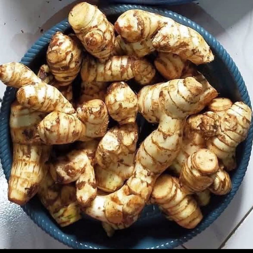 

(1 Kg) Ubi Ganyong / umbi jangklong / jengklong enak manis kaya manfaat