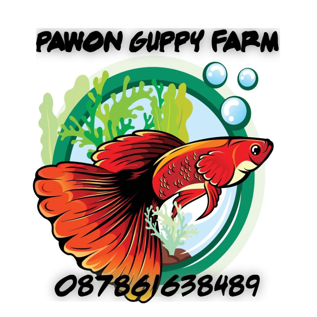 Albino snake skin red Lace bds