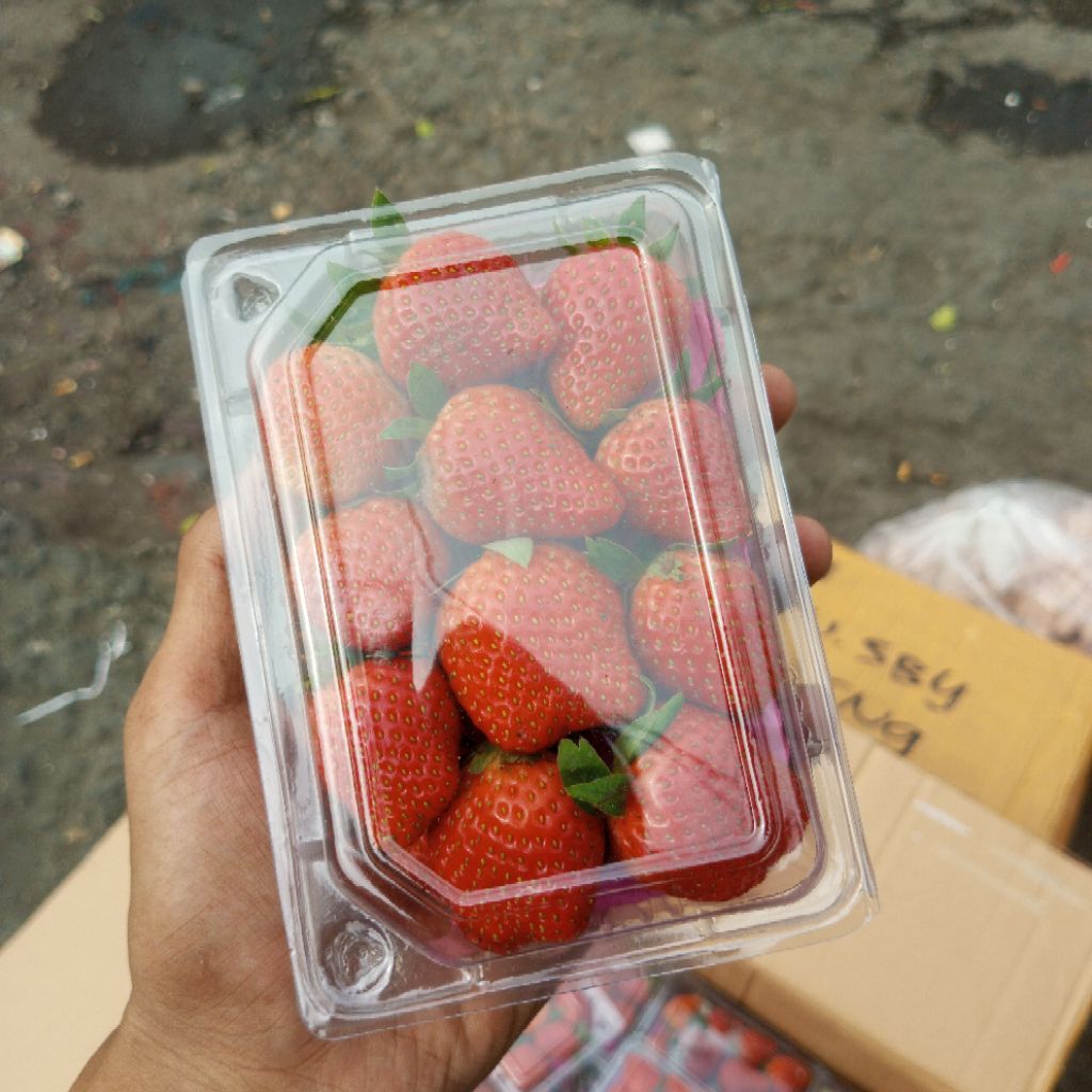 

STRAWBERRY FRESH 250GR