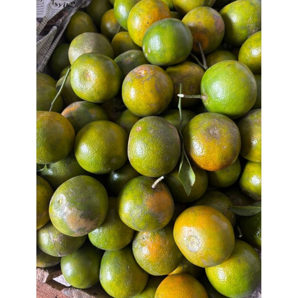 

Jeruk Siam Madu 1 kg