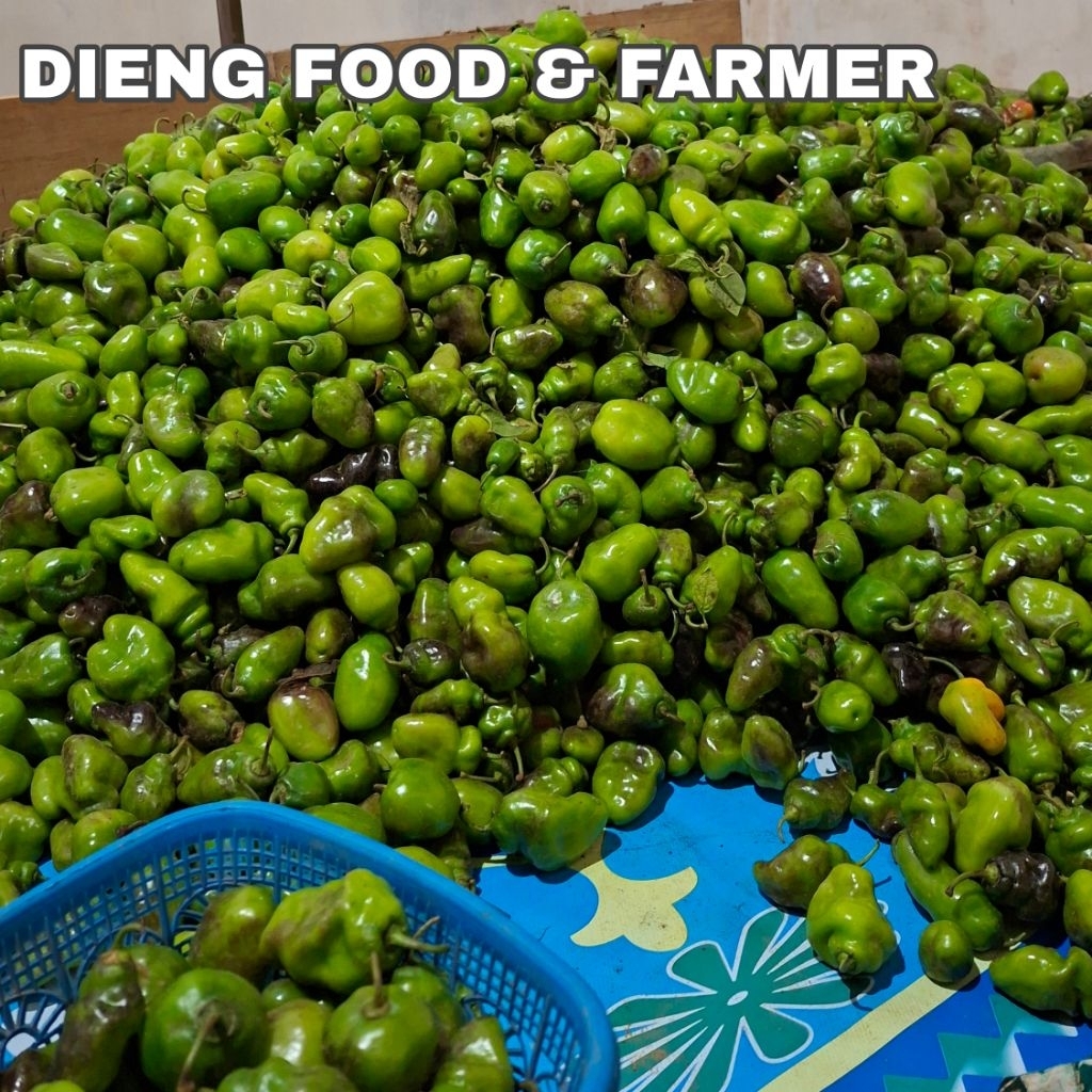 

cabe gendot 500g