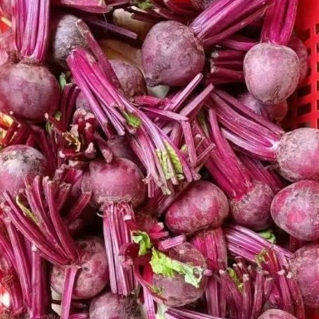 

buah bit