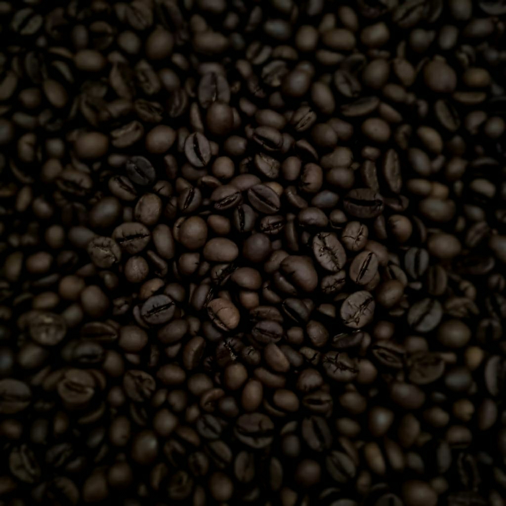 

Biji kopi sangrai - Roast bean - Kopi Robusta Aceh Solong Grade 1 500 gram Are Coffee
