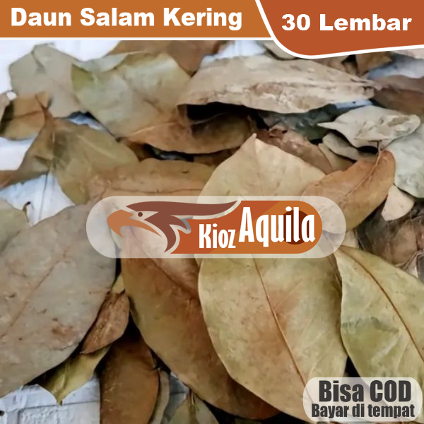

Daun Salam Kering Obat Herbal