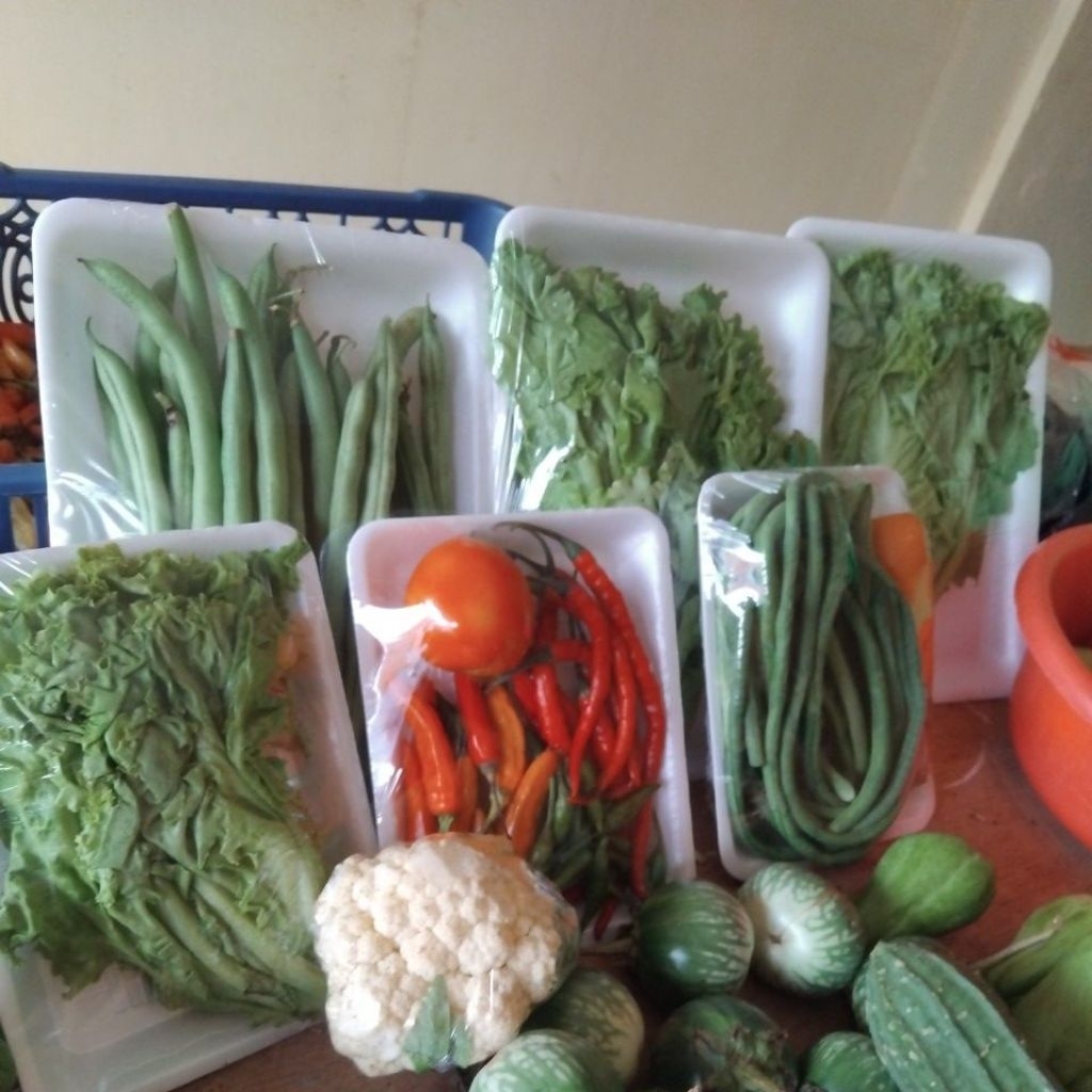 

sayur
