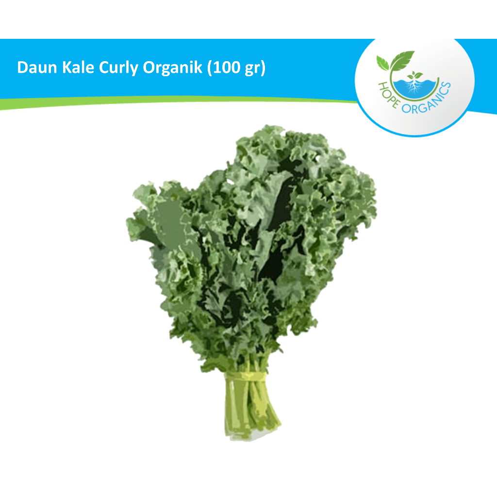 

Daun Kale Curly Organik 100 gr