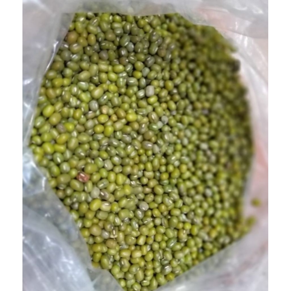 

Kacang Ijo 500 Gram Pilihan Hemat