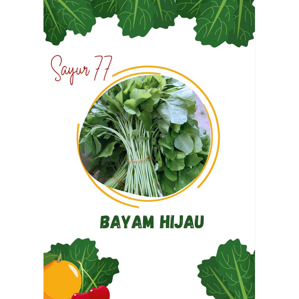 

BAYAM HIJAU 1 Ikat